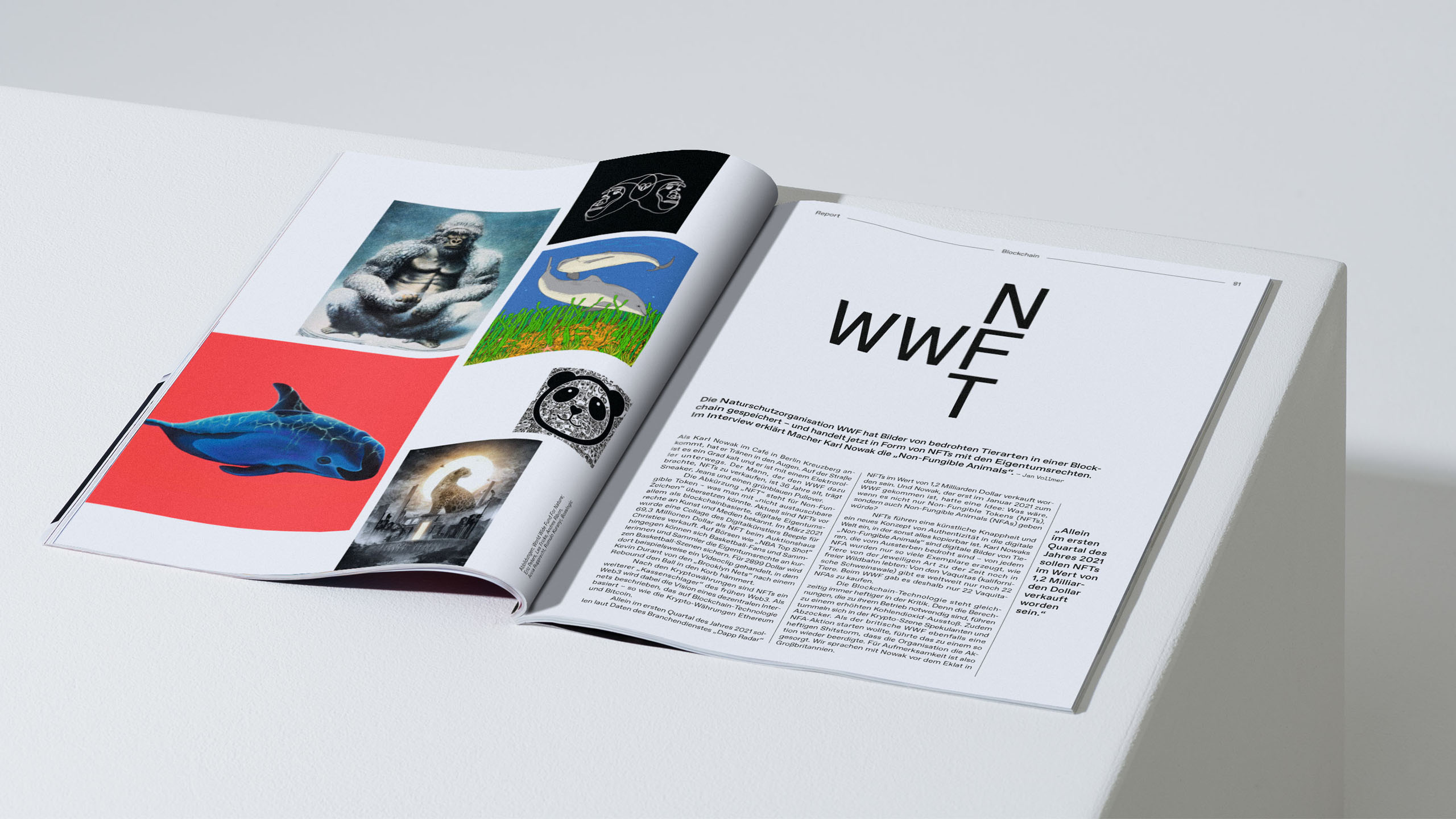 NFAmagazine